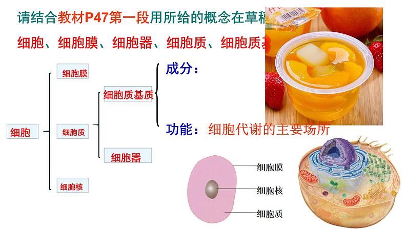 3.2 细胞器之间的分工合作课件PPT02