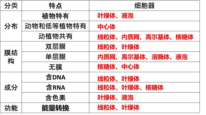 3.2 细胞器之间的分工合作课件PPT07