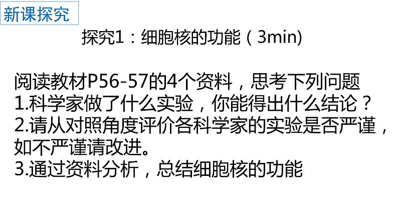 3.3细胞核的结构和功能课件PPT04