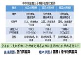 沪科版生物高中第三册-10.1 生物多样性及其价值  课件