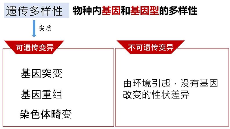 沪科版生物高中第三册-10.1 生物多样性及其价值  课件04