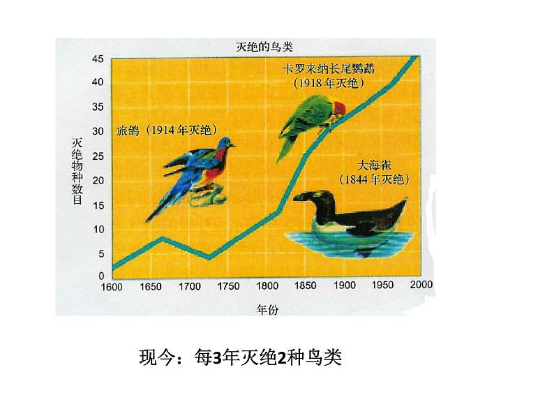 沪科版生物高中第三册-10.3  人类活动对生物多样性的影响 课件03