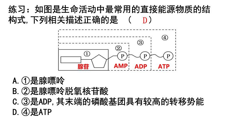 5.2细胞的能量”货币“ ATP课件PPT05