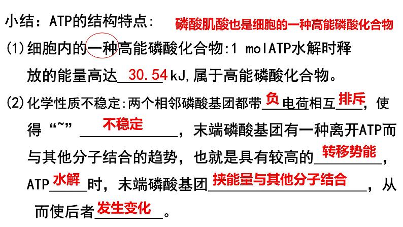 5.2细胞的能量”货币“ ATP课件PPT第6页