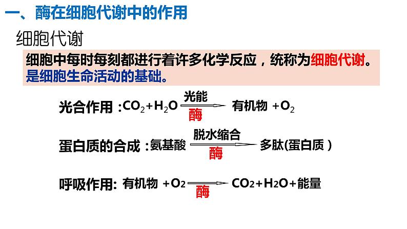 5.1 降低化学反应活化能的酶课件PPT02