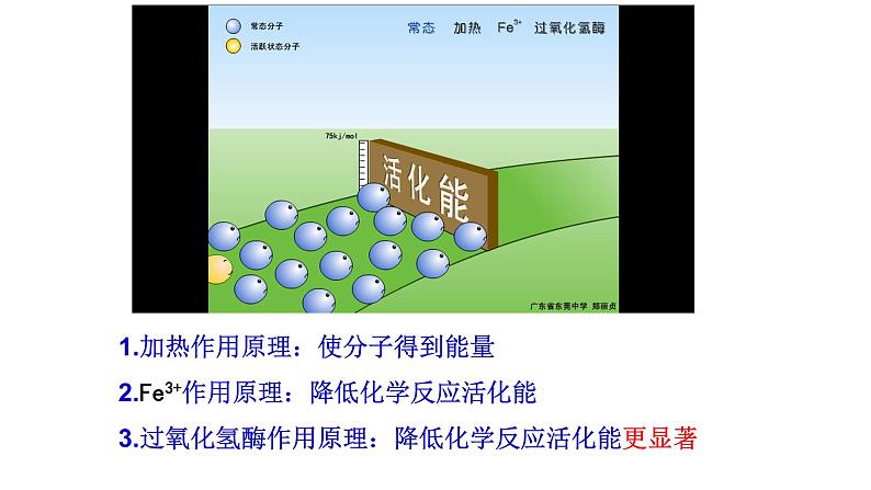 5.1 降低化学反应活化能的酶课件PPT07