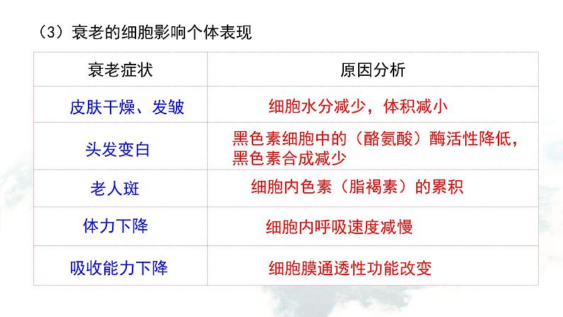 6.3 细胞的衰老和死亡课件PPT04