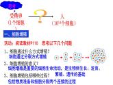 6.1 细胞的增殖课件PPT