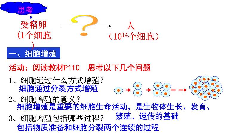 6.1 细胞的增殖课件PPT03