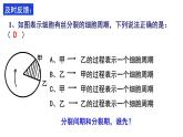 6.1 细胞的增殖课件PPT