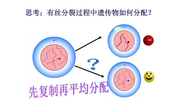 6.1 细胞的增殖课件PPT07