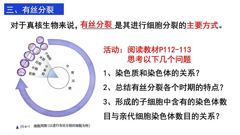 6.1 细胞的增殖课件PPT08