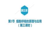 5.3细胞呼吸的原理与应用（第3课时)课件PPT