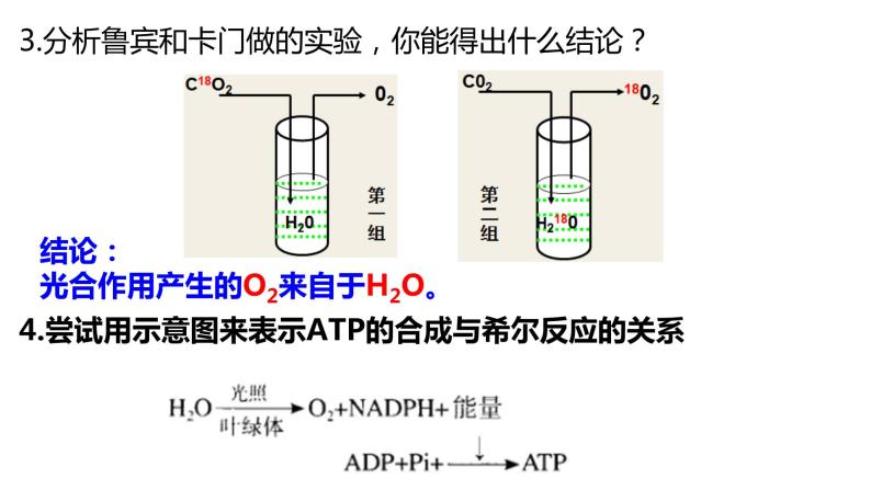 5.4 光合作用与能量转化（第2课时）课件PPT04