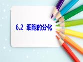 6.2细胞的分化课件PPT