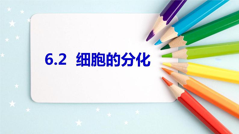 6.2细胞的分化课件PPT03