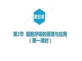 5.3细胞呼吸的原理与应用（第1课时）课件PPT