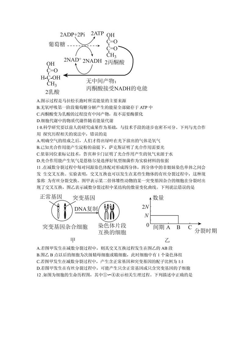 2022届河南省部分名校高三上学期8月摸底联考生物试题 PDF版03