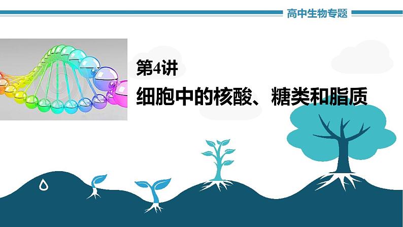 高中生物《第4讲细胞中的核酸、糖类和脂质》课件01