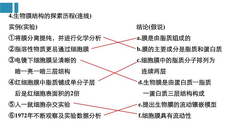 高中生物《第5讲细胞膜与细胞核》课件第5页