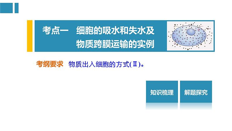 高中生物《第7讲细胞的物质输入和输出》课件02