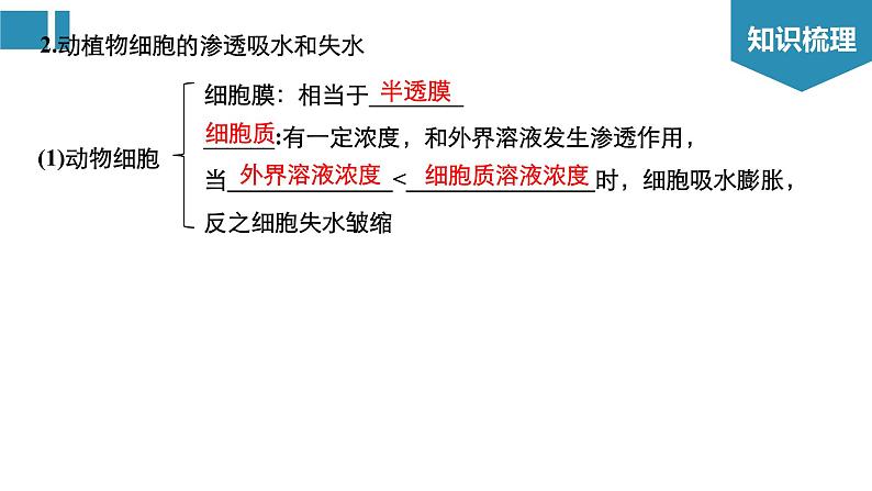 高中生物《第7讲细胞的物质输入和输出》课件04