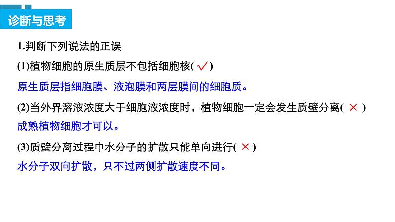 高中生物《第7讲细胞的物质输入和输出》课件06
