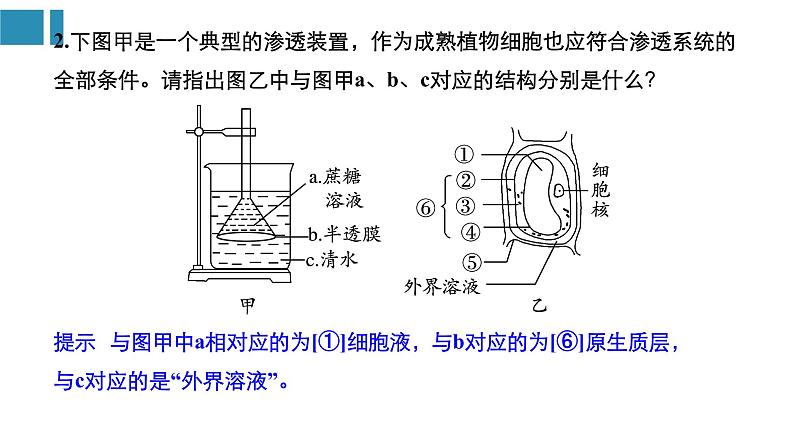 高中生物《第7讲细胞的物质输入和输出》课件08