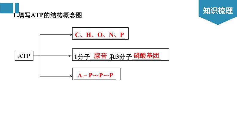 高中生物《第8讲ATP和酶》课件第3页