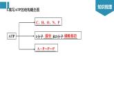 高中生物《第8讲ATP和酶》课件