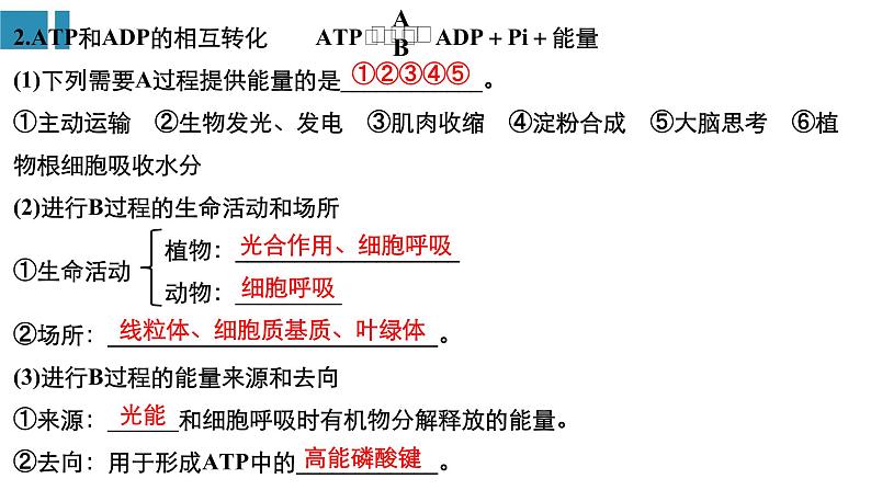 高中生物《第8讲ATP和酶》课件第4页