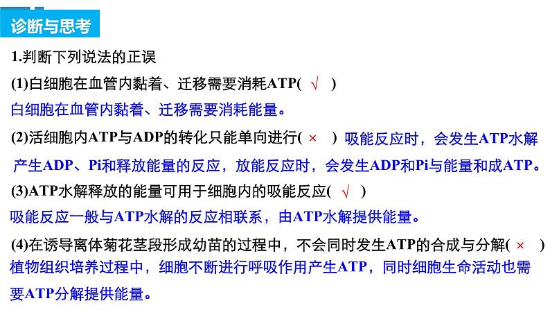 高中生物《第8讲ATP和酶》课件第5页