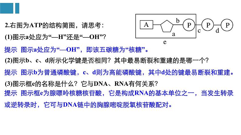 高中生物《第8讲ATP和酶》课件第7页