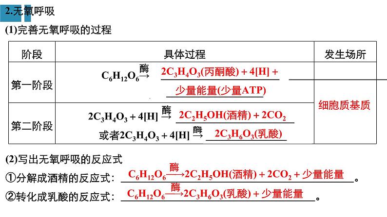 高中生物《第9讲细胞呼吸》课件第5页