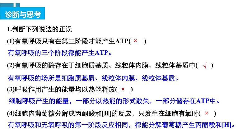 高中生物《第9讲细胞呼吸》课件第6页