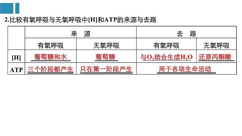 高中生物《第9讲细胞呼吸》课件第8页