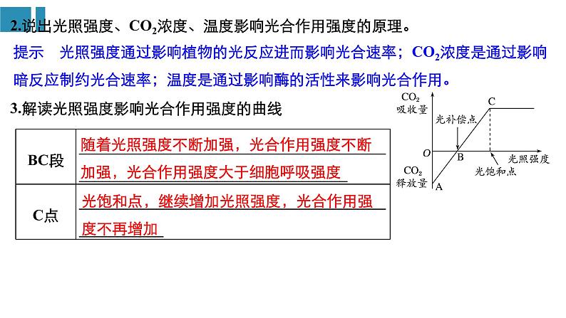 高中生物《第11讲光与光合作用(Ⅱ)》课件05