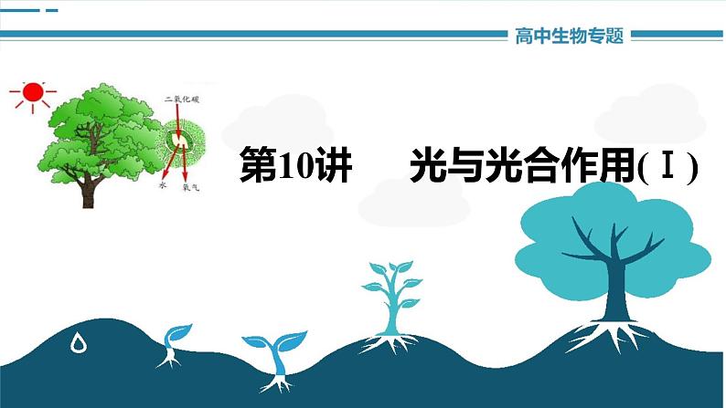 高中生物《第10讲光与光合作用(Ⅰ)》课件01