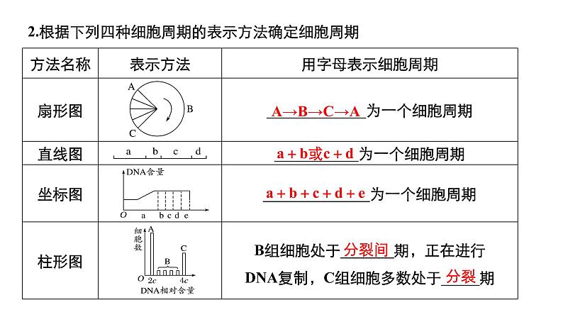 高中生物《第12讲细胞的增殖》课件06