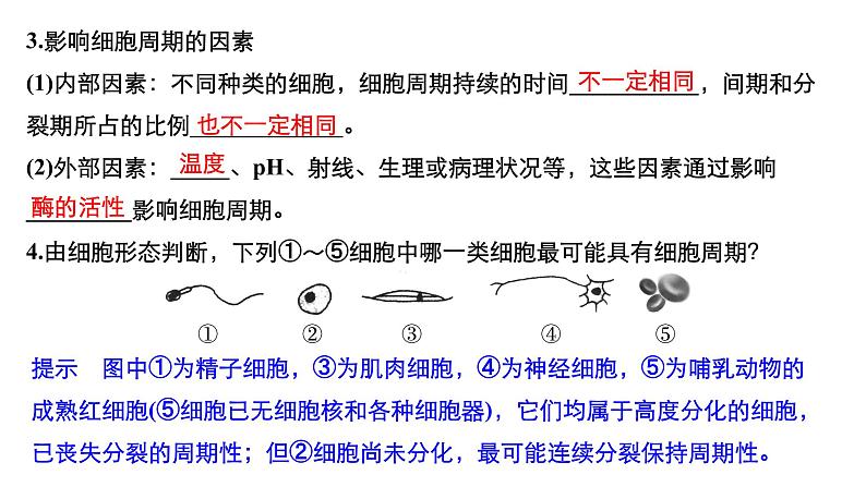 高中生物《第12讲细胞的增殖》课件07