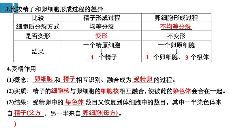 高中生物《第13讲减数分裂和受精作用(Ⅰ)》课件第5页