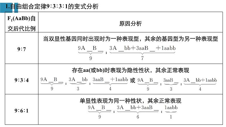 高中生物《第18讲基因的自由组合定律(Ⅱ)》课件03