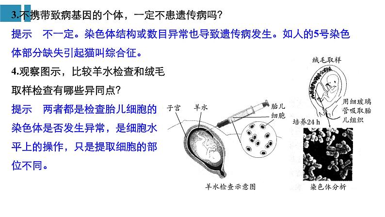 高中生物《第20讲人类遗传病及遗传规律的综合应用》课件08