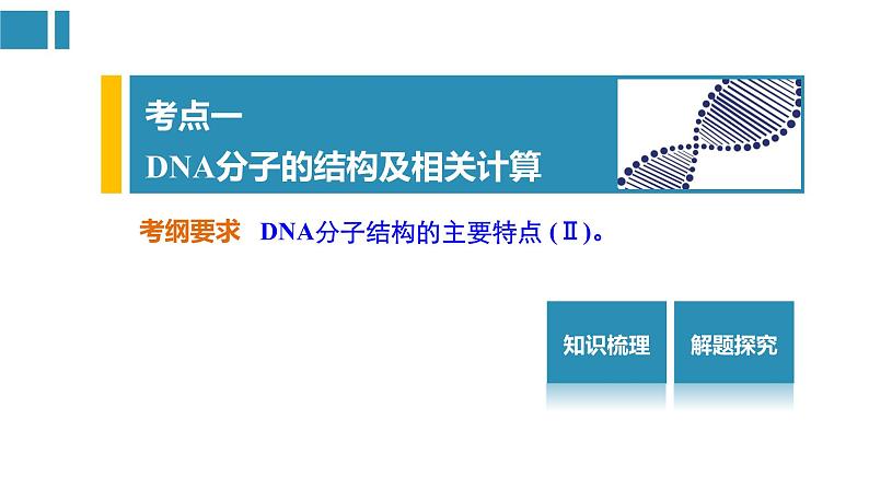 高中生物《第22讲DNA分子的结构、复制与基因的本质》课件02