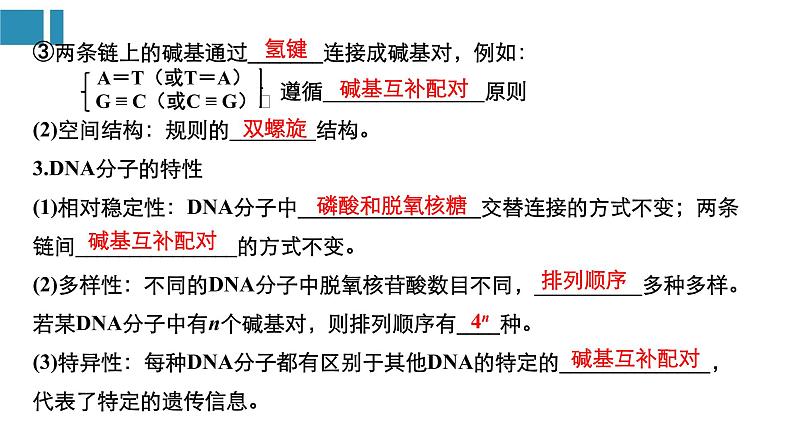 高中生物《第22讲DNA分子的结构、复制与基因的本质》课件04