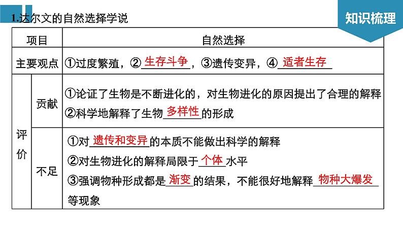 高中生物《第26讲生物的进化》课件第3页