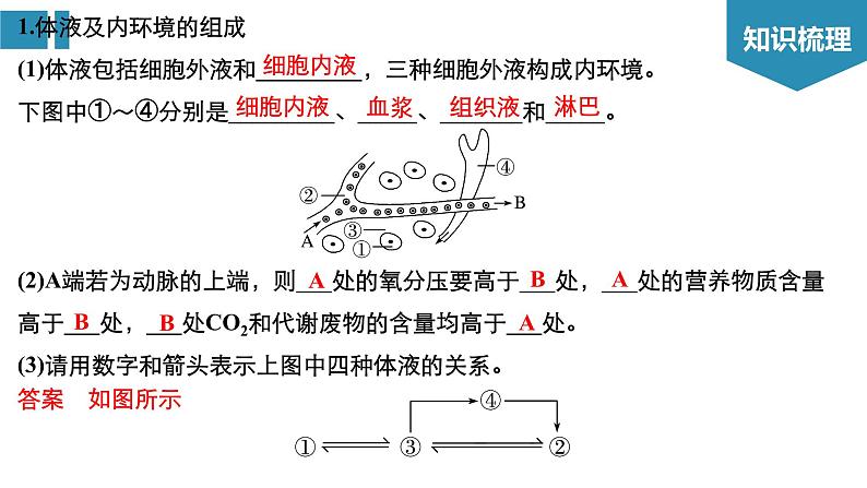 高中生物《第27讲人体内环境的稳态及其实例分析》课件第4页
