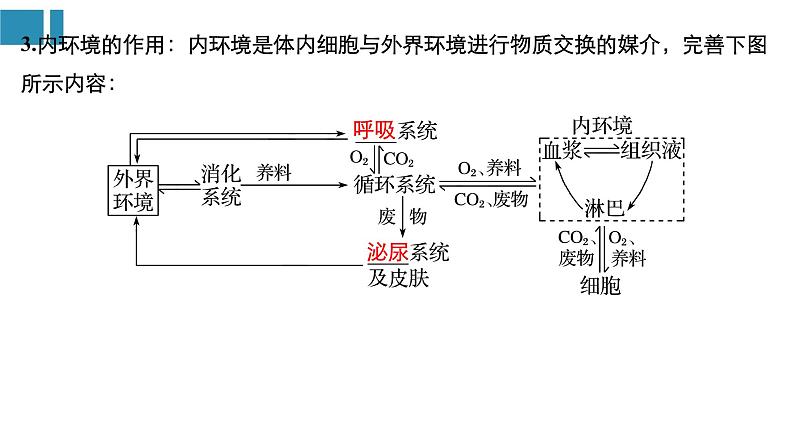 高中生物《第27讲人体内环境的稳态及其实例分析》课件第8页