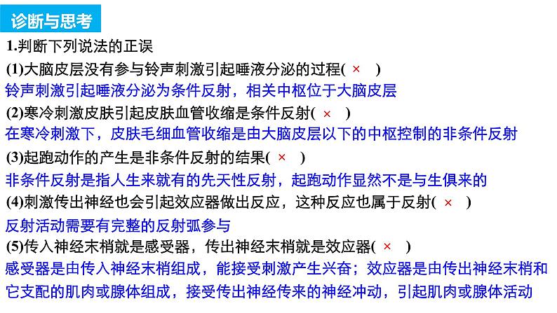 高中生物《第28讲人和高等动物的神经调节》课件05