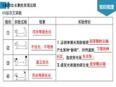 高中生物《第31讲植物的激素调节》课件